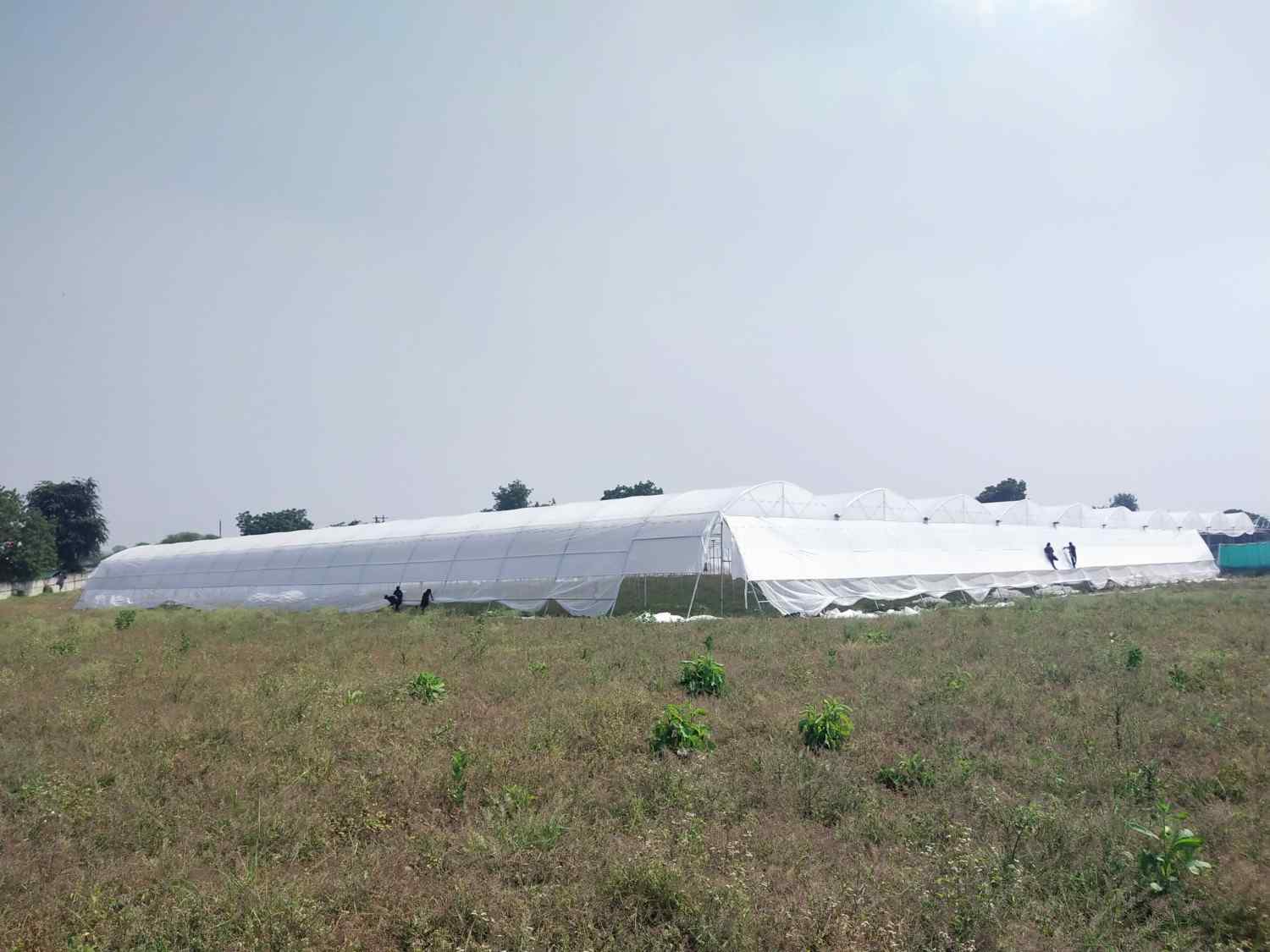 Site image 17