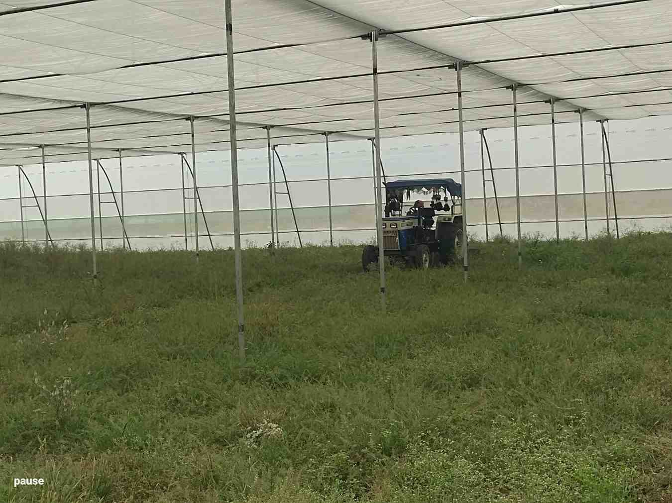 Site image 18