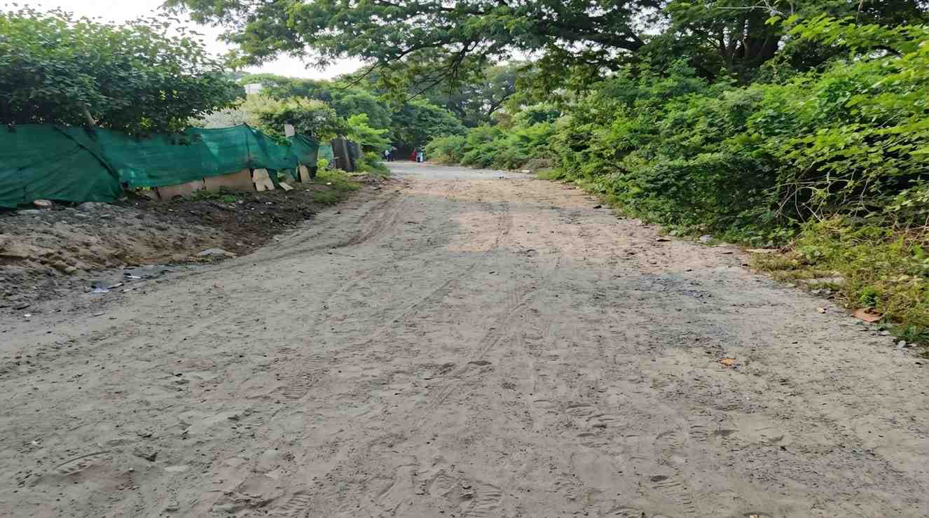 Site image 20