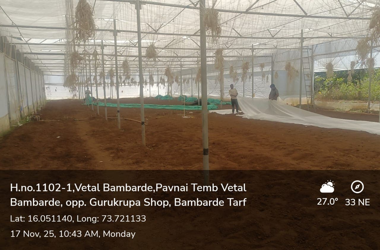 Site Image 2